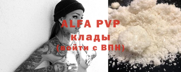 apvp Алзамай