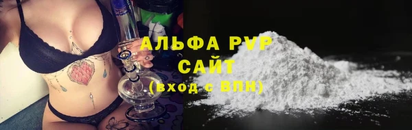 apvp Алзамай
