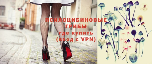 apvp Алзамай