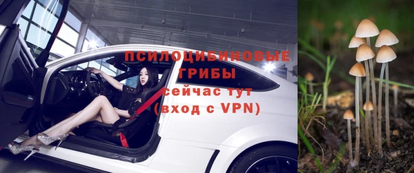 apvp Алзамай